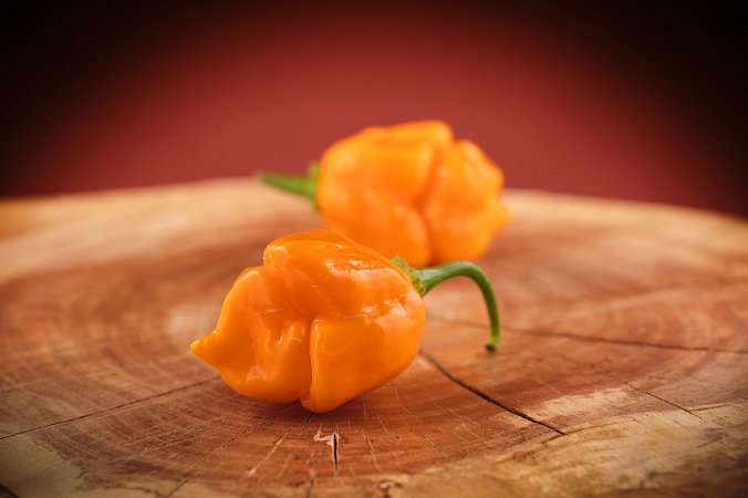 Trinidad Scorpion Yellow