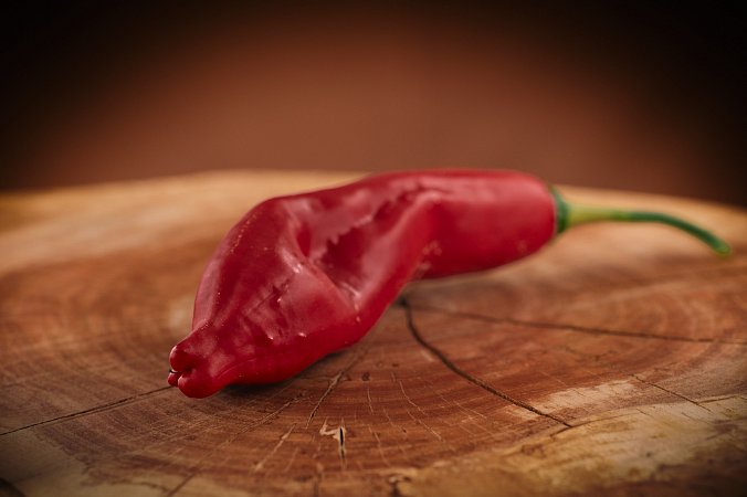 Aji Chicotillo | Chilli semena