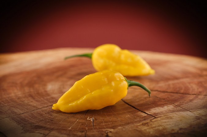 Naga Yellow | Chilli semena