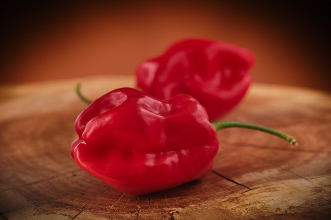 Roger's Giant Red Habanero | Chilli semena