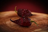 Fox Purple Ghost Gnarly Ruby | Chilli semena