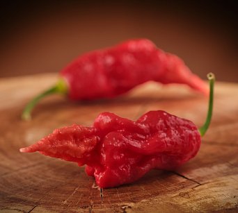 Super Bhut Jolokia JW