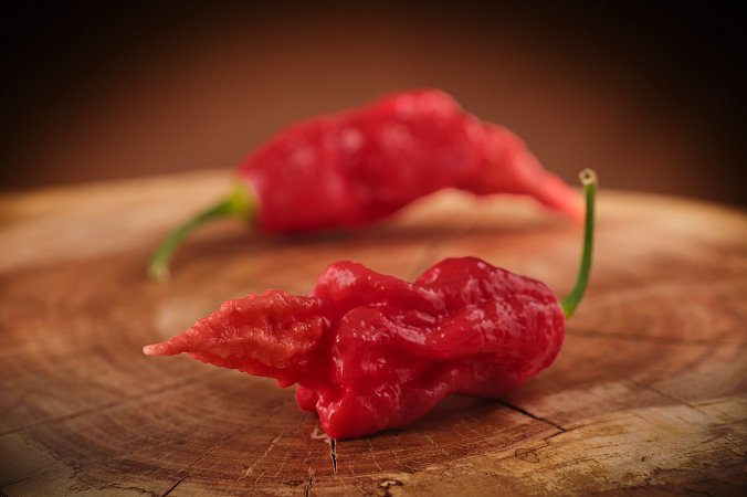 Super Bhut Jolokia JW | Chilli semena